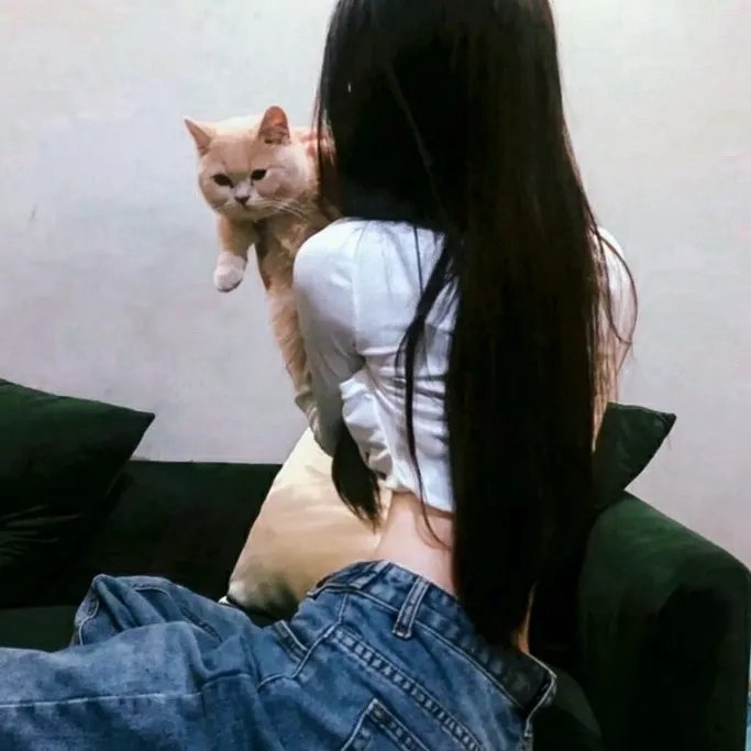 系统破坏者
