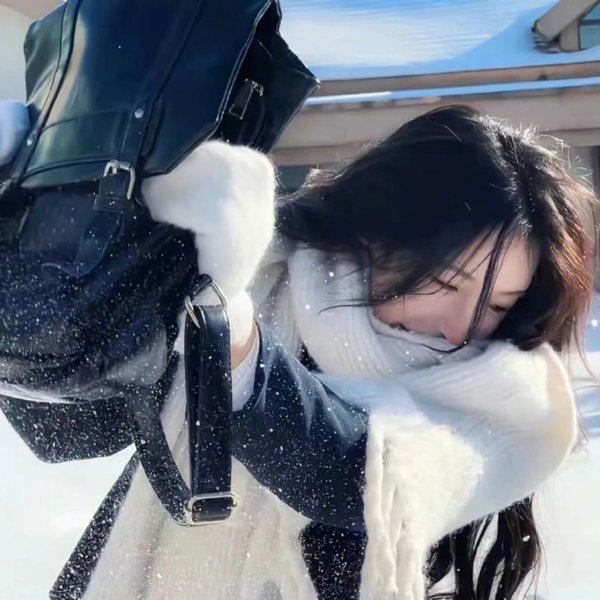 真凶标签
